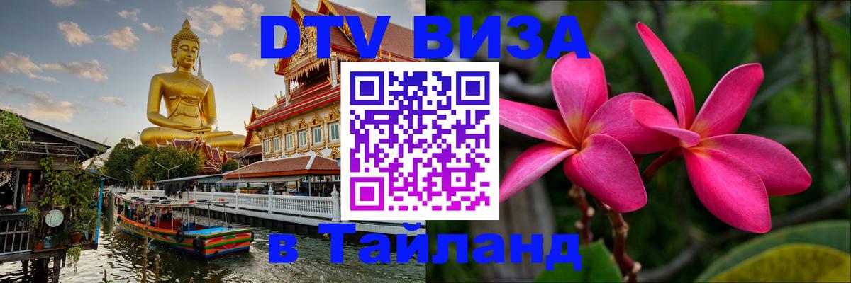 Сколько стоит DTV виза — актуальные цены, оформление даже без документов - 05.10.2025 